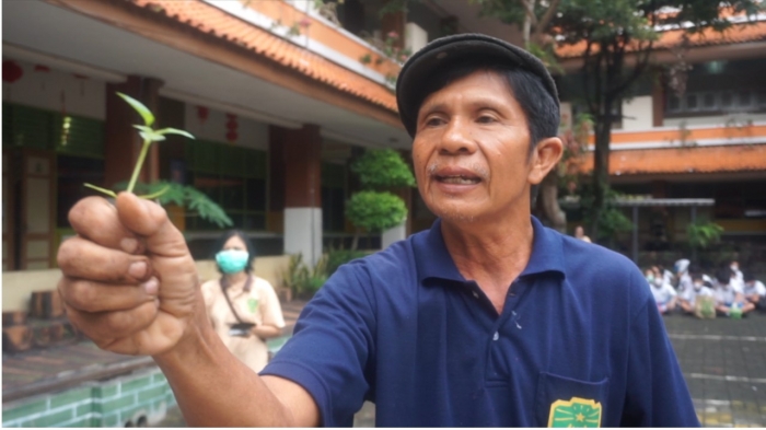 Gerakan Sang Timur Menanam 